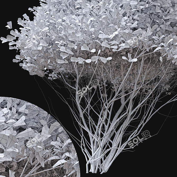 Radiant Spirea Bush: Double the Glow! 3D model image 4