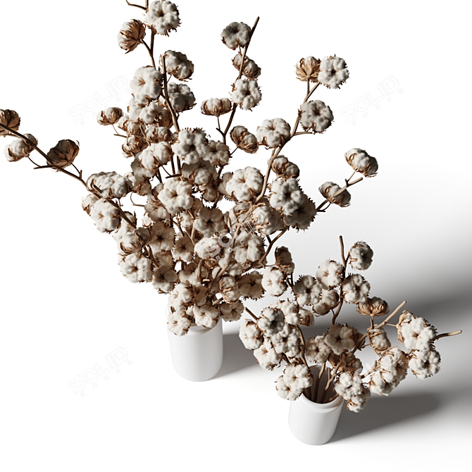 White Cotton Bouquet Set 3D model image 2