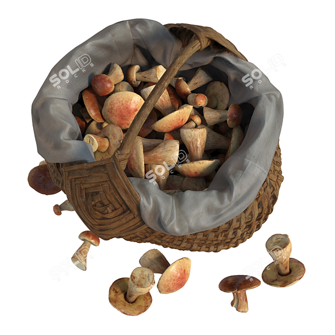 Fungi Harvest Basket 3D model image 3