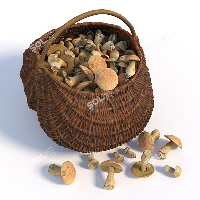 Mushroom Haven Basket 3D model image 2