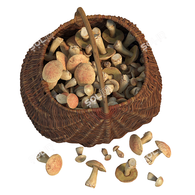 Mushroom Haven Basket 3D model image 3