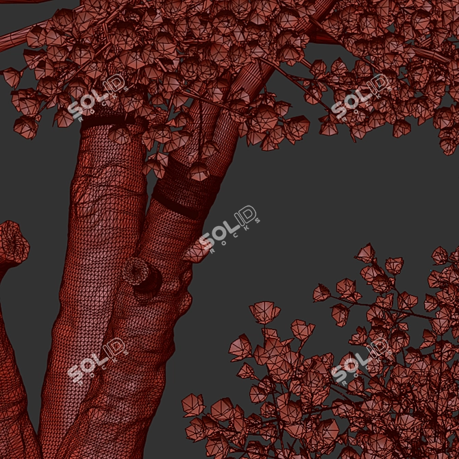 Sakura Tree: Exquisite Japanese Blossoms 3D model image 6