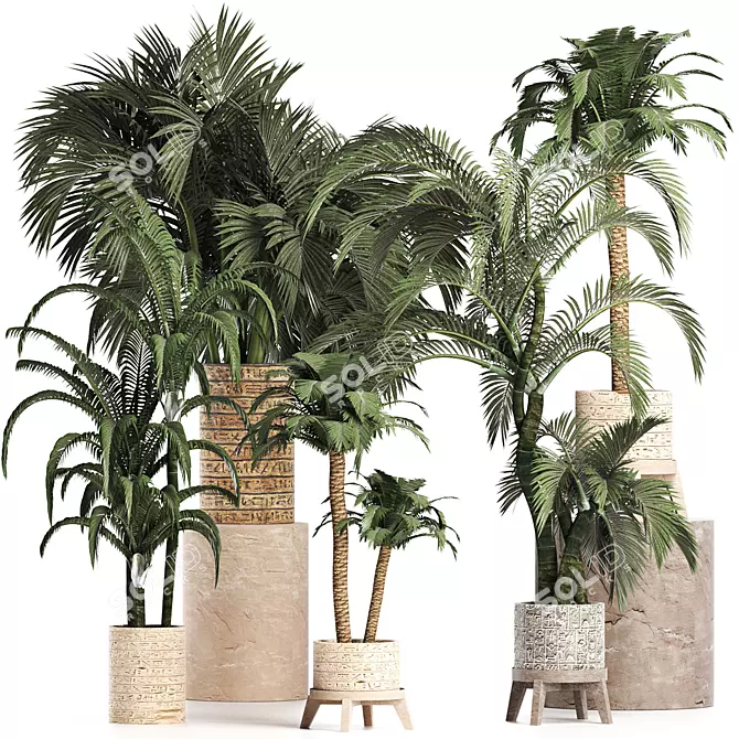 Exotic Palms Collection: Enhance Your Space 3D model image 1