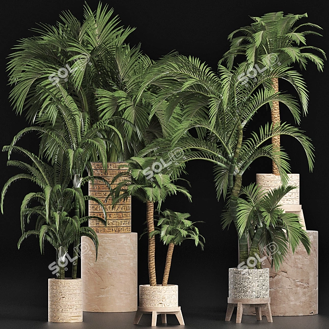 Exotic Palms Collection: Enhance Your Space 3D model image 2