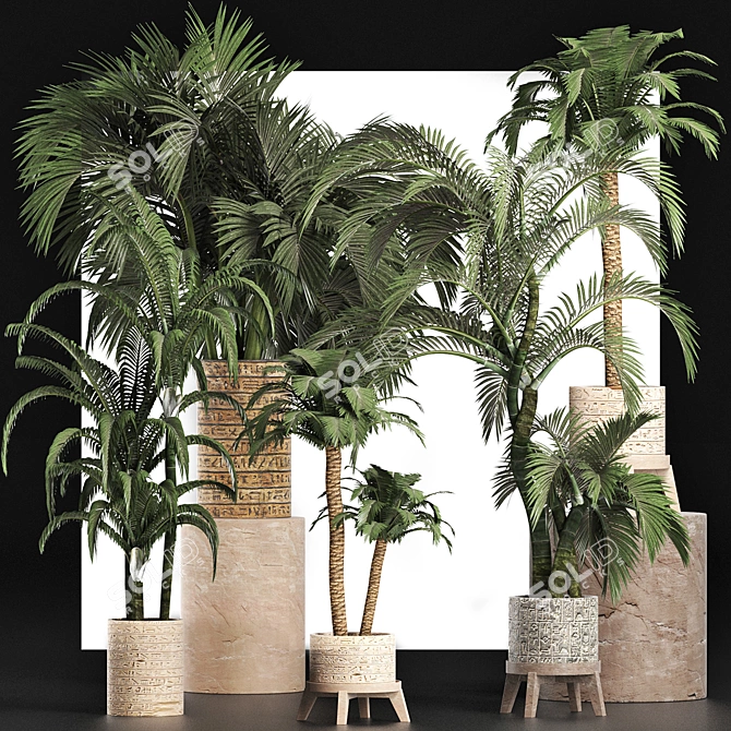 Exotic Palms Collection: Enhance Your Space 3D model image 3