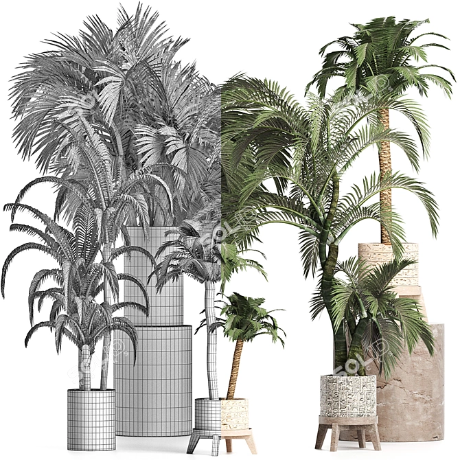 Exotic Palms Collection: Enhance Your Space 3D model image 4