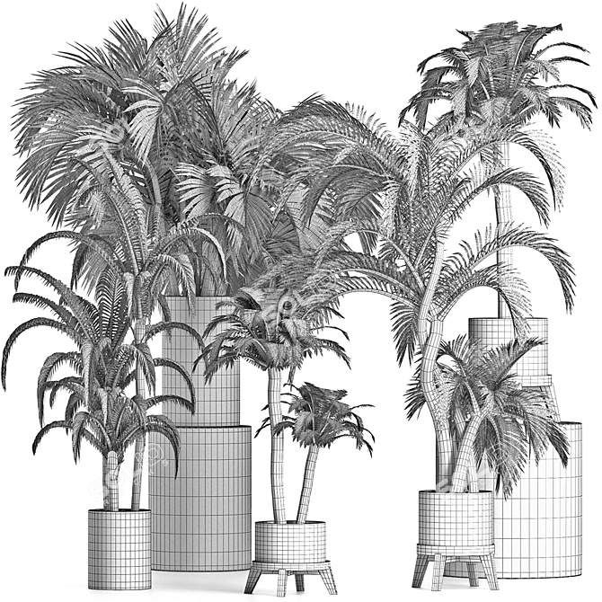 Exotic Palms Collection: Enhance Your Space 3D model image 5