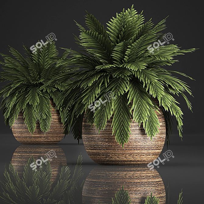 Tropical Plant Collection in Rattan Baskets 3D model image 1