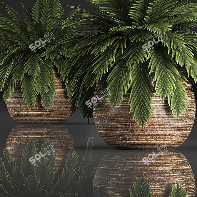 Tropical Plant Collection in Rattan Baskets 3D model image 4