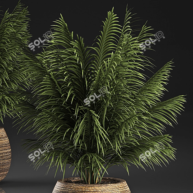 Tropical Plant Collection in Rattan Baskets 3D model image 3