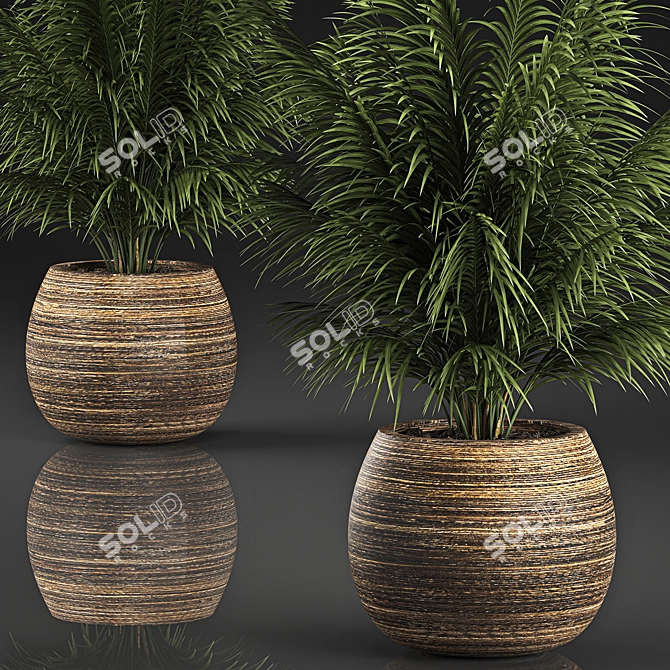 Tropical Plant Collection in Rattan Baskets 3D model image 4