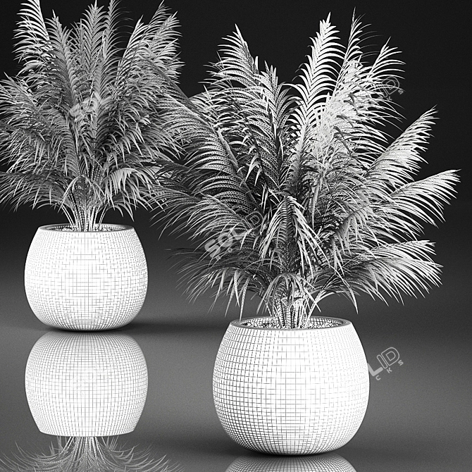 Tropical Plant Collection in Rattan Baskets 3D model image 5