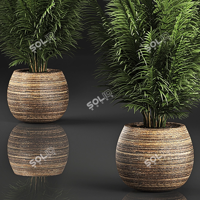 Tropical Plant Collection in Rattan Baskets 3D model image 2