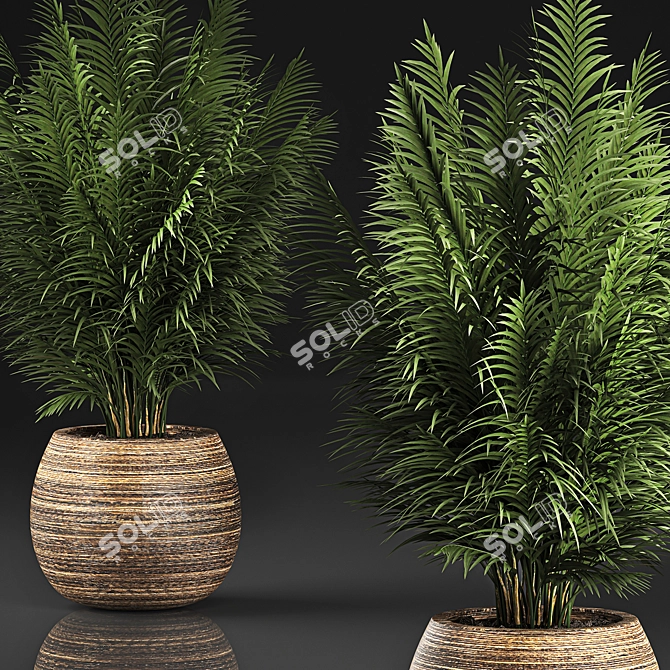 Tropical Plant Collection in Rattan Baskets 3D model image 3