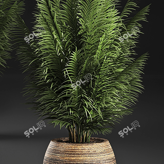 Tropical Plant Collection in Rattan Baskets 3D model image 4