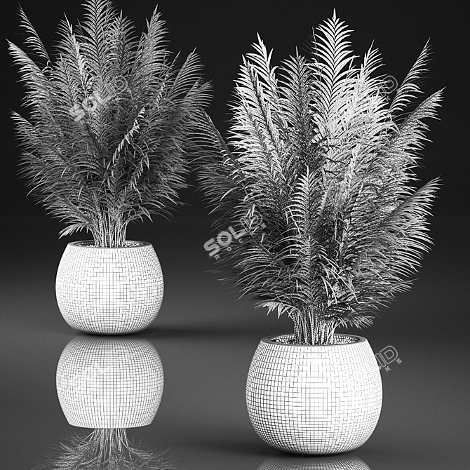 Tropical Plant Collection in Rattan Baskets 3D model image 5