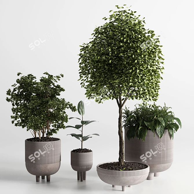 Elegant Indoor Plant 12 - 3D Model 3D model image 1