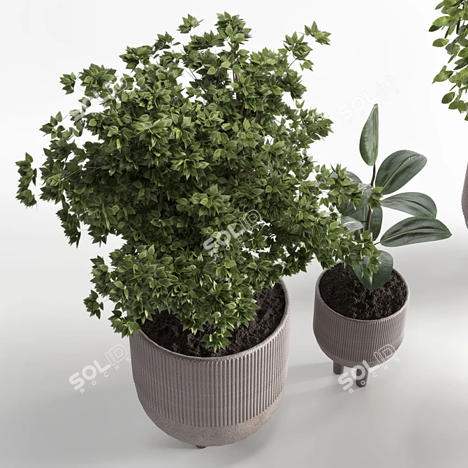 Elegant Indoor Plant 12 - 3D Model 3D model image 2