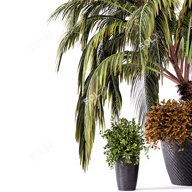 Rustic Outdoor Plants Set - Dark Concrete Pot 3D model image 4