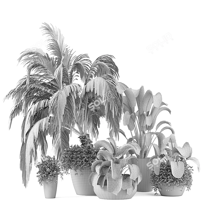 Rustic Outdoor Plants Set - Dark Concrete Pot 3D model image 5