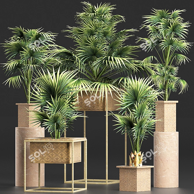 Exotic Palm Tree Collection 3D model image 1