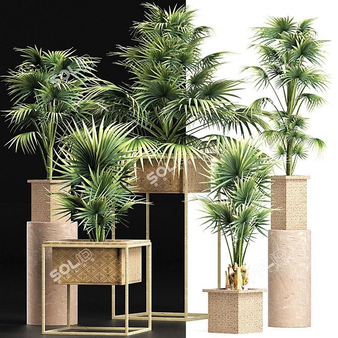 Exotic Palm Tree Collection 3D model image 2