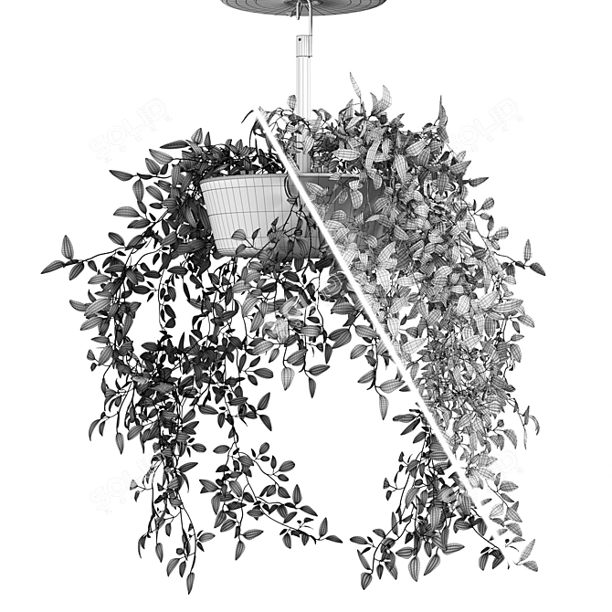 Artificial Hanging Plant in BITTERGURKA Planter 3D model image 2