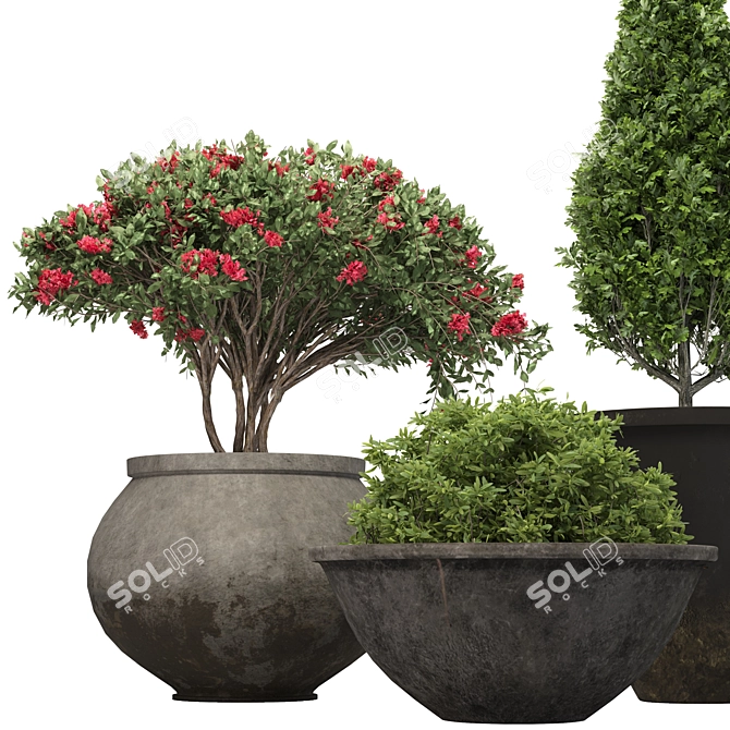 3D Plant Model with Textures 3D model image 2