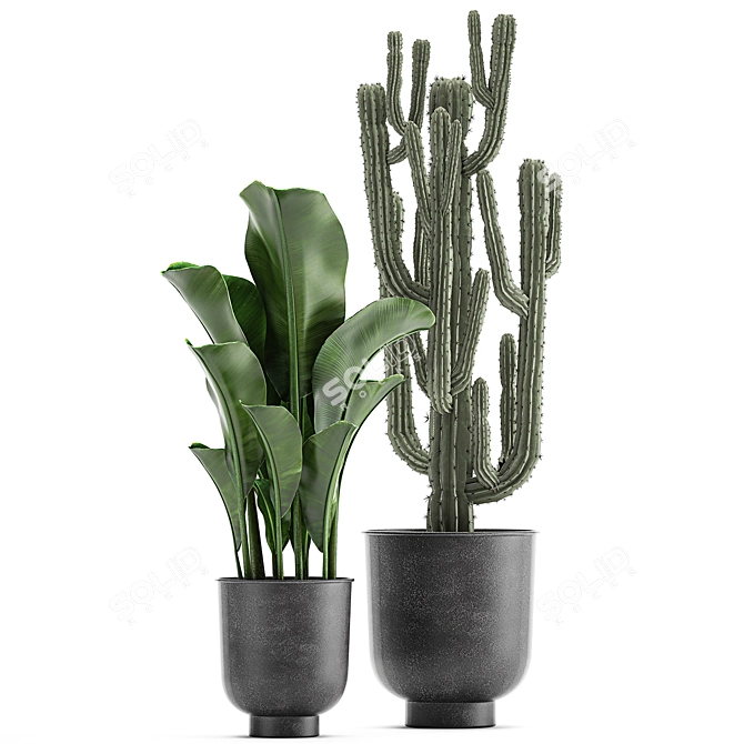 Exotic Plant Paradise Set 3D model image 2