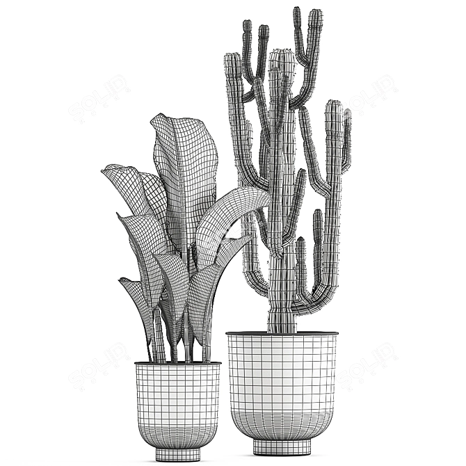 Exotic Plant Paradise Set 3D model image 5