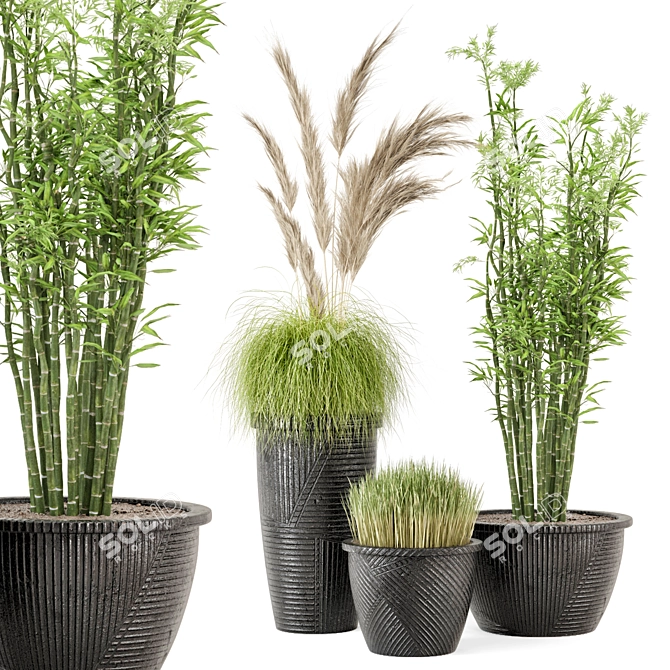 Outdoor Plants Set with Black Concrete Pot 3D model image 1