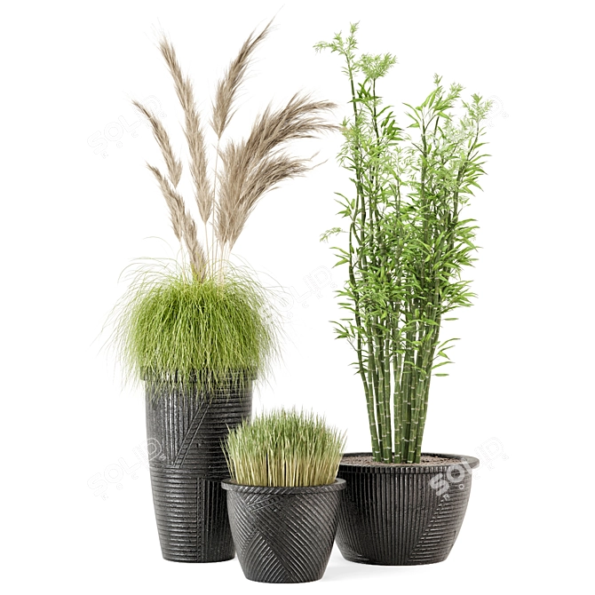 Outdoor Plants Set with Black Concrete Pot 3D model image 4