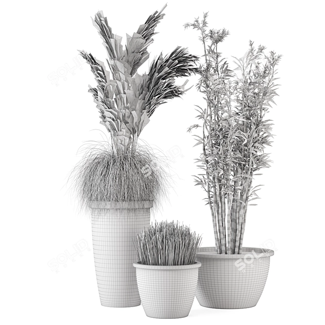 Outdoor Plants Set with Black Concrete Pot 3D model image 5