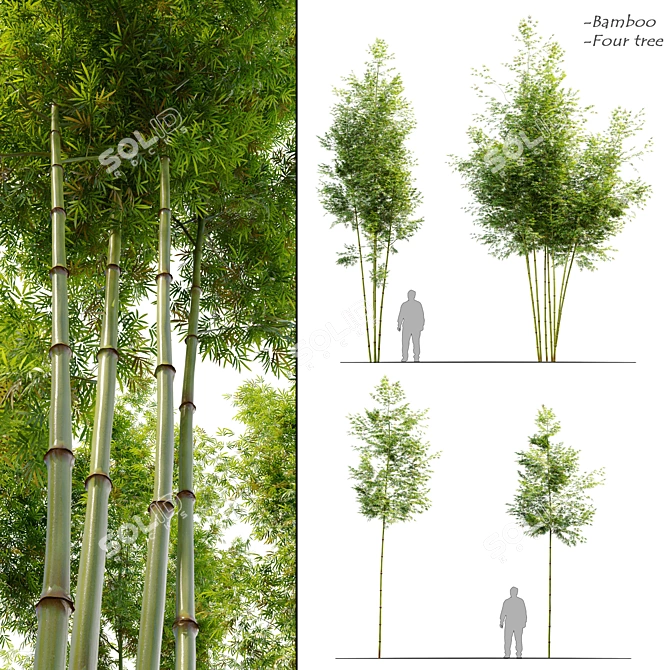 Tropical Elegance: Four Bamboo Trees 3D model image 1