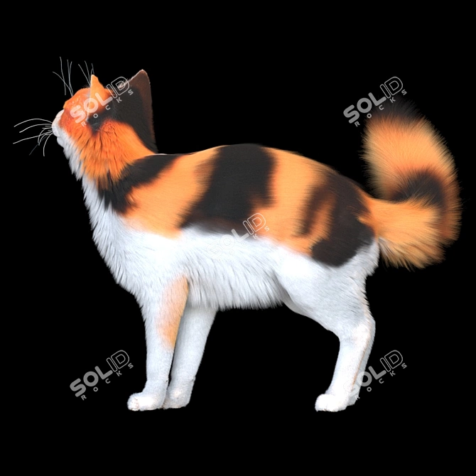 Tri-Colored Woolen Kitty 3D model image 2