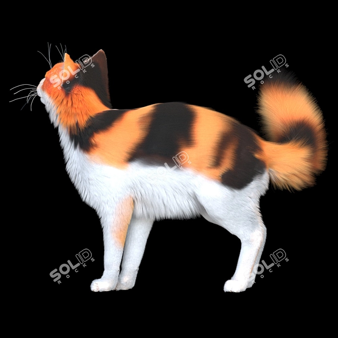 Tri-Colored Woolen Kitty 3D model image 4