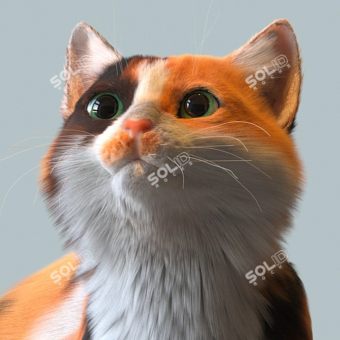 Tri-Colored Woolen Kitty 3D model image 7