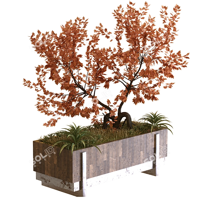 Natural Greenery Box Set - Tree 031 3D model image 3