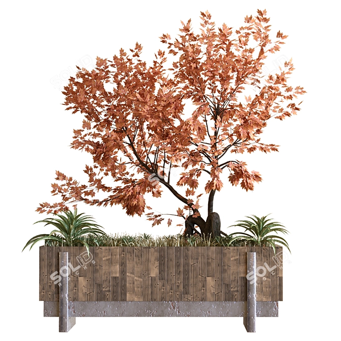 Natural Greenery Box Set - Tree 031 3D model image 5