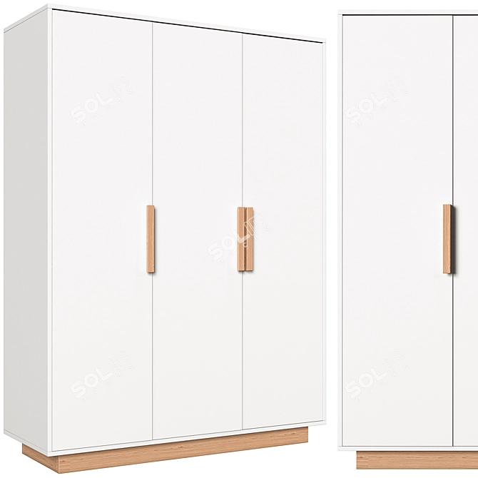 FABI 3-Door Wardrobe: Elegant Storage Solution 3D model image 1