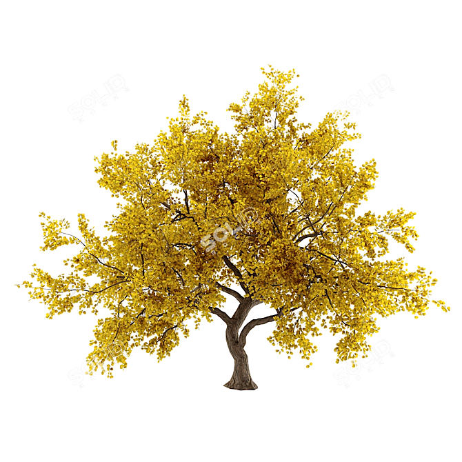 Tree 3D Model | 781K Polygons 3D model image 4