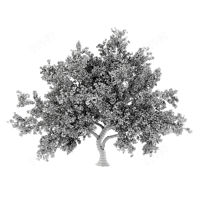 Tree 3D Model | 781K Polygons 3D model image 5