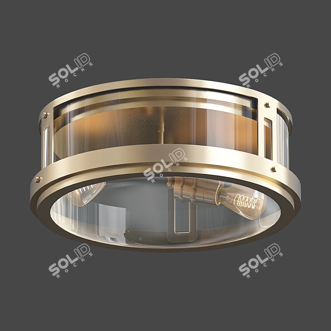 Satin Brass Flush Mount 3D model image 1