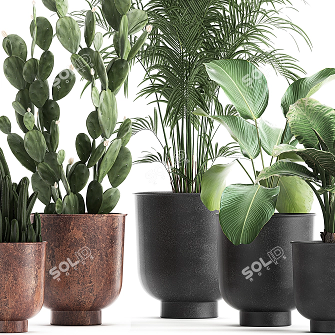 Tropical Plant Collection in Vig Planter 3D model image 2