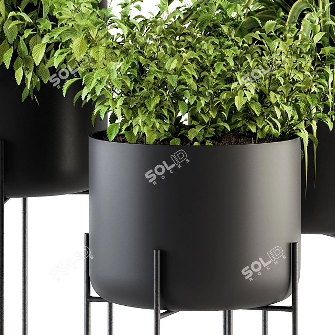 Stylish Black Box Plants Stand 3D model image 3