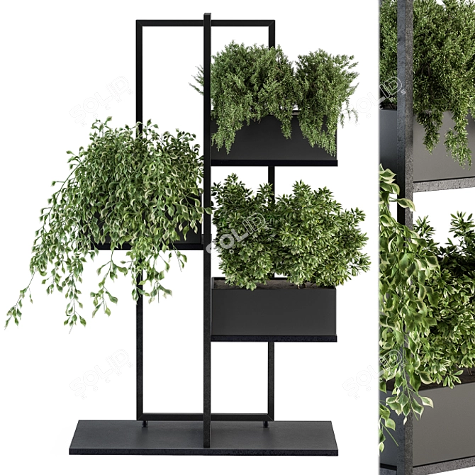 Elegant Black Box Stand Plant 3D model image 2