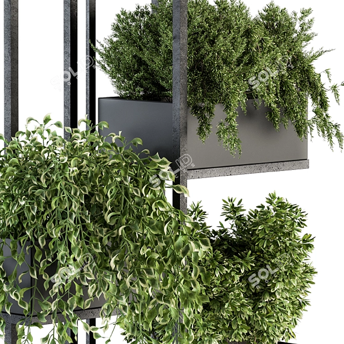 Elegant Black Box Stand Plant 3D model image 3