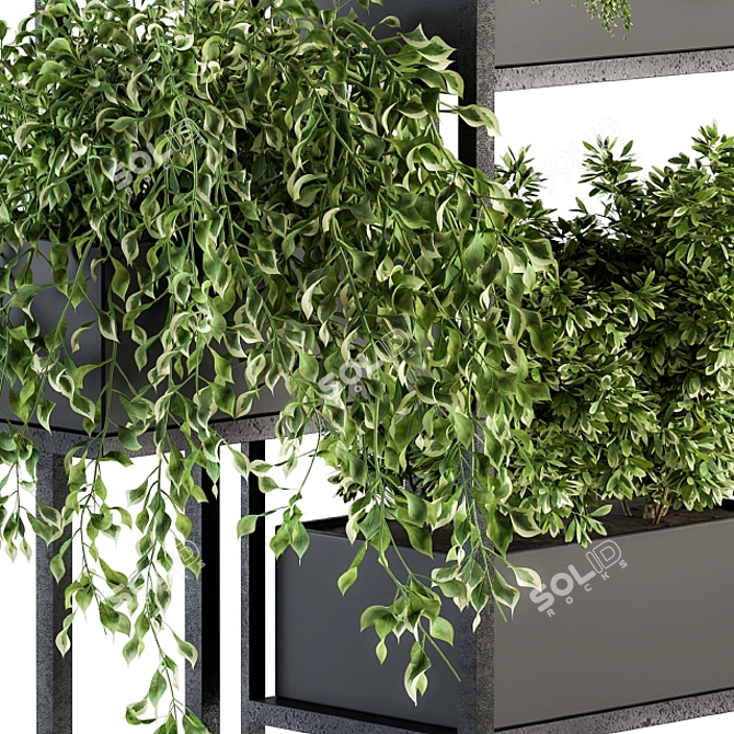 Elegant Black Box Stand Plant 3D model image 4