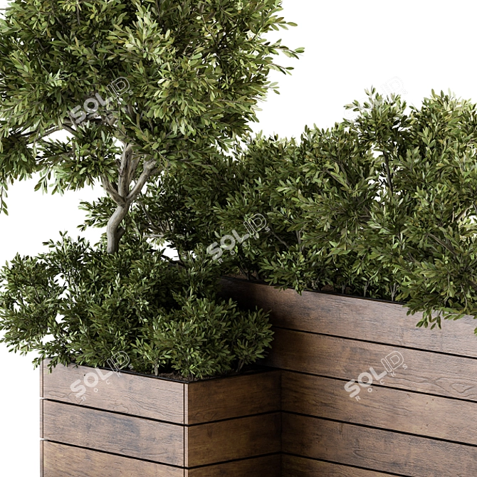 Natural Outdoor Tree Set 3D model image 3