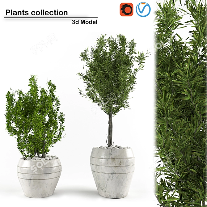 Indoor Oasis: 3D Plant Collection 3D model image 1